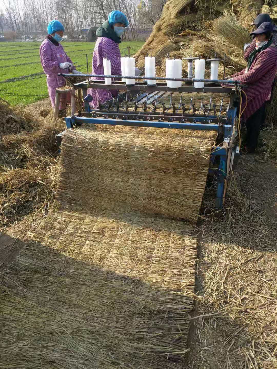 农家乐专用草帘